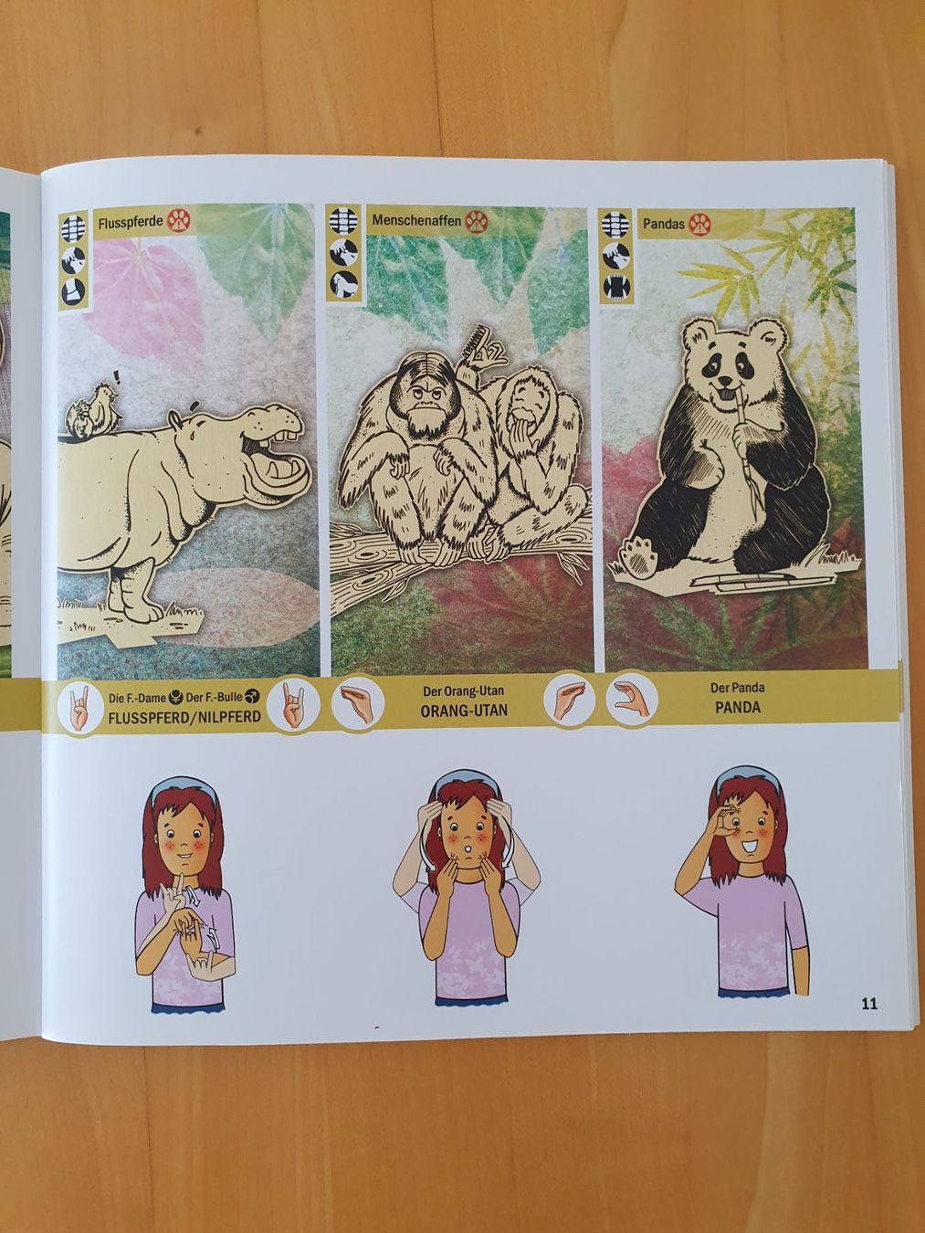 Libri: Die Welt in Gebärden - Set (DSGS) – Nuovo e nell'imballaggio originale da Allschwil venduto da Jojina123 3