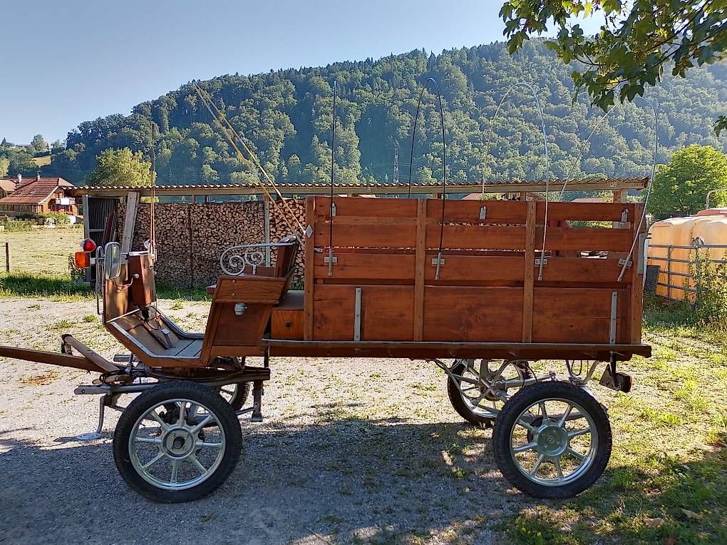 Kutschen: Gesellschaftswagen, Kutsche – Gebraucht aus Burgdorf von RosiVera 1
