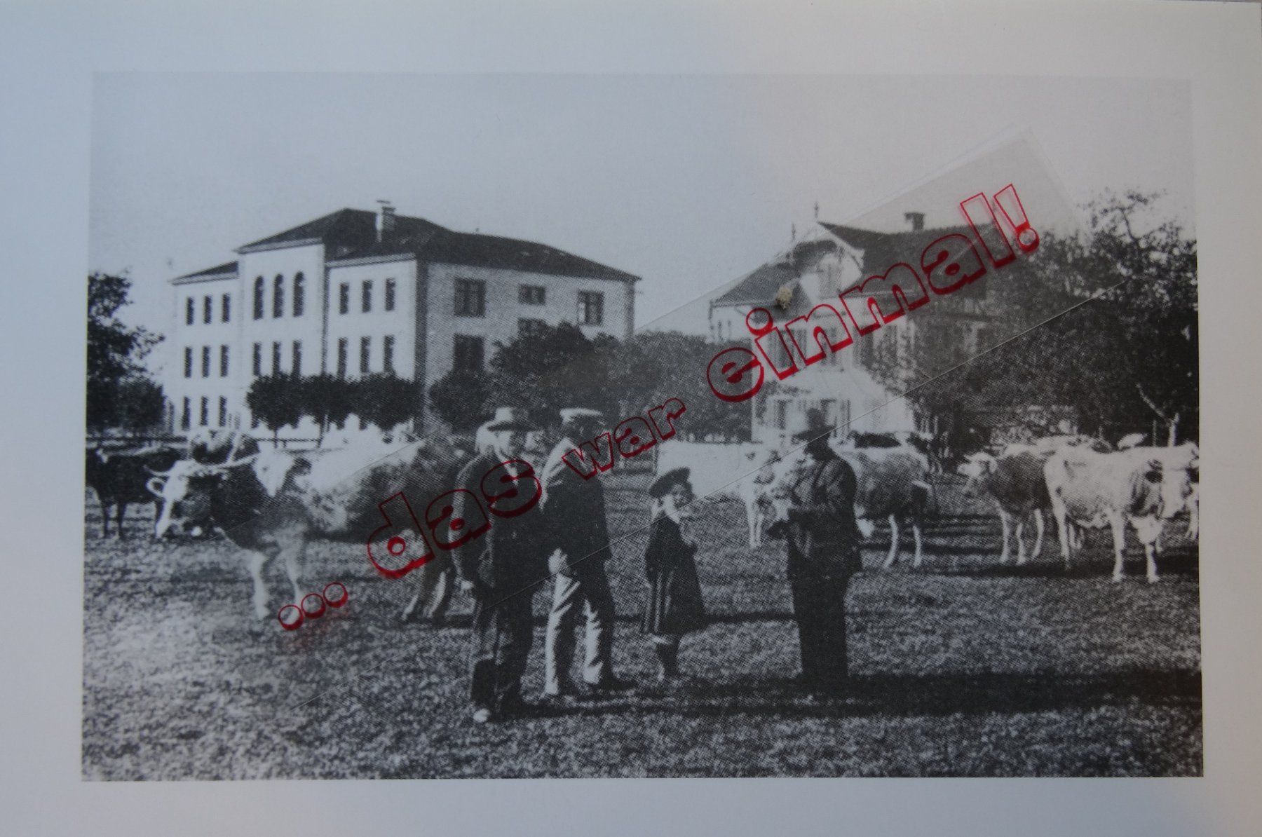Cartoline postali: Bern Langenthal Sportplatz anno dazumal – Usato da Safnern venduto da Wstussi