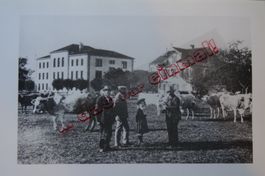 Bern Langenthal Sportplatz anno dazumal