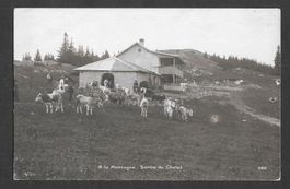 Landwirtschaft A la Montagne Sortie du Chalet mit Kühen