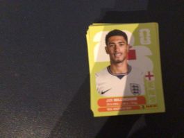 101 panini sticker für 7.50