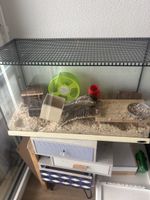 Hamsterkäfig mit Zubehör - Ideal für den Winter!