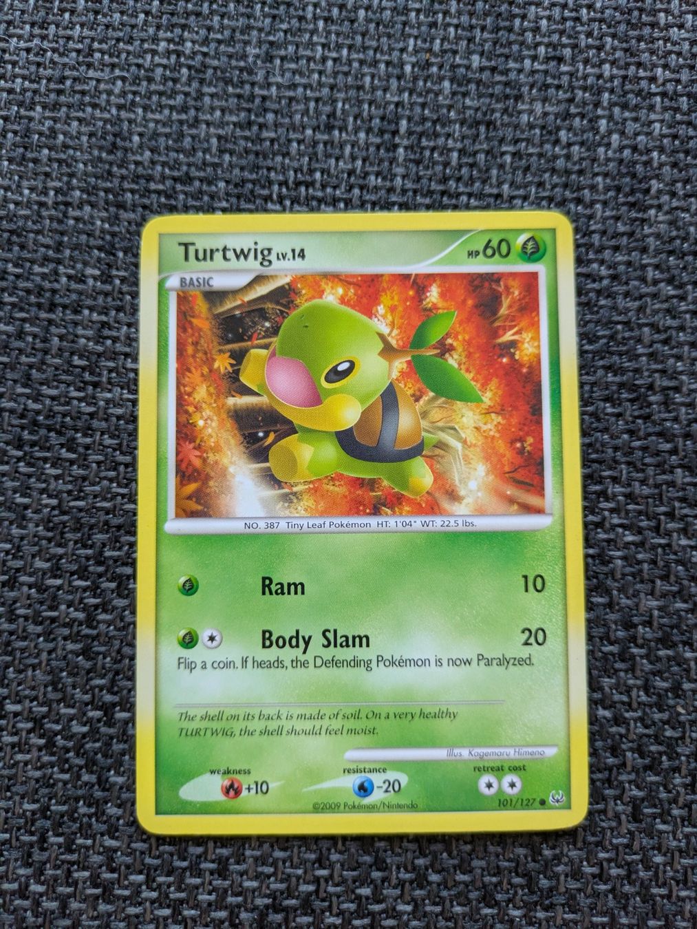 Pokémon Sammelbilder & Trading cards: TURTWIG LV.14, PLATINUM, PL101, COM, 2009, ENG, GD – Gebraucht aus Losone von AlpineLayer