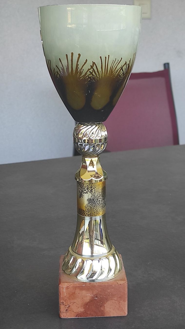 Autres collections & raretés: Pokal – D'occasion à Kreuzlingen par Dennis2004 1
