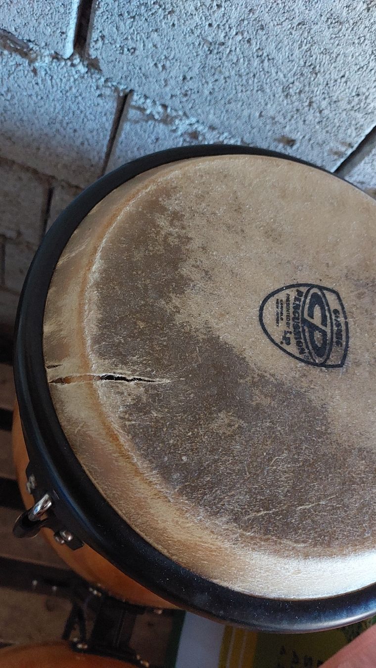 Instruments de musique: Congas Cosmic Percussion und Schlagzeug – Défectueux à Seedorf BE par Frinlin 3