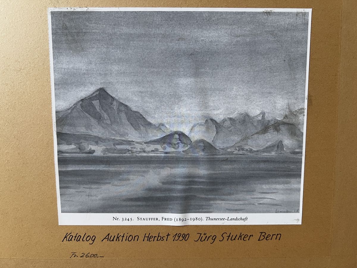 Dipinti: Thunersee Landschaft Fred Stauffer Aquarell  – Usato da Neuenegg venduto da Magosaurus 3