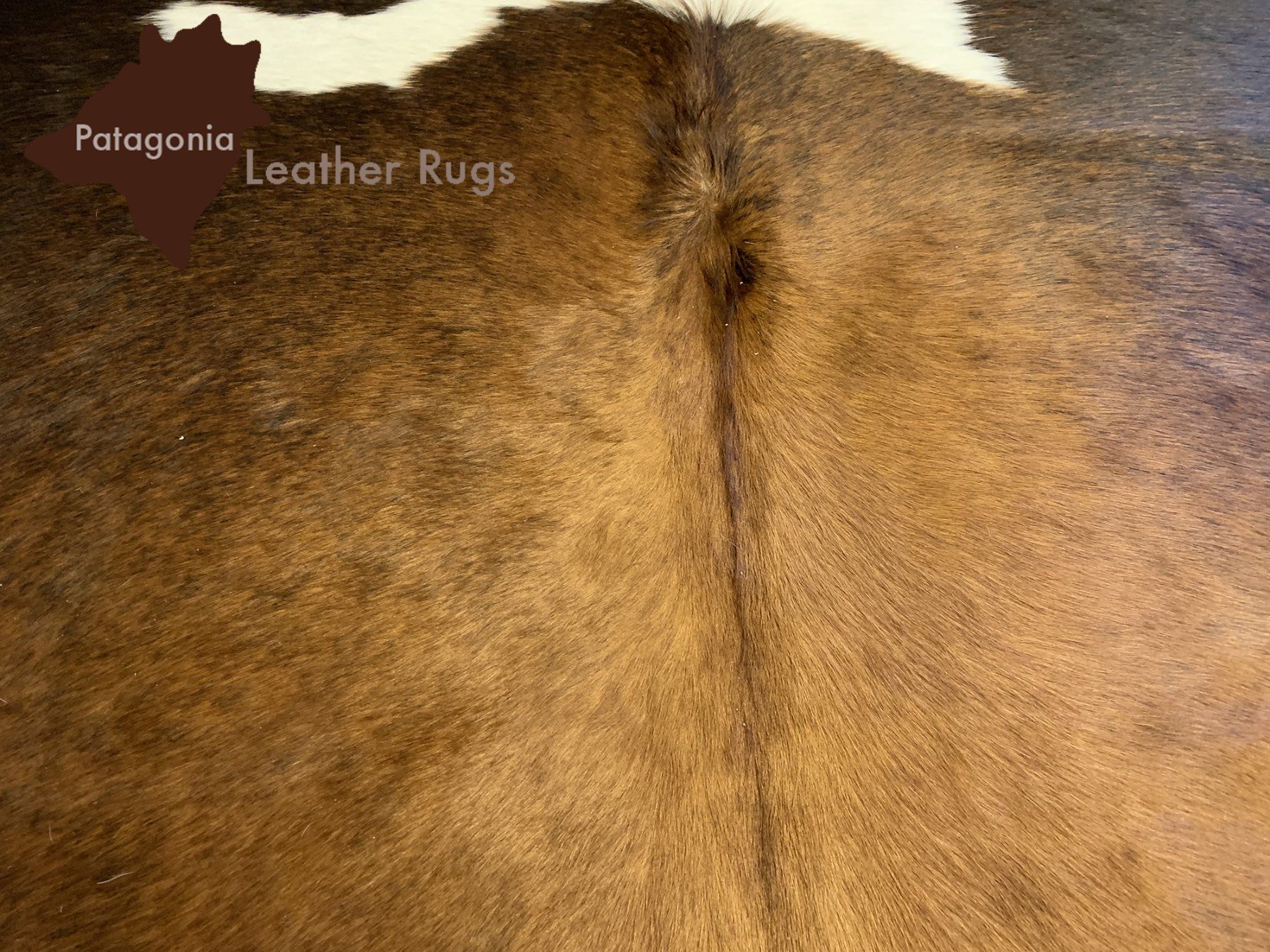Teppiche: echtes Kuhfell Teppich exotic tricolor – Neu und originalverpackt aus Arbedo von patagonialeatherrugs 2