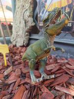 Tyrannosaurus Rex von Schleich