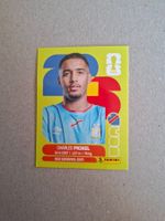 PANINI FIFA 2026 COD 8
