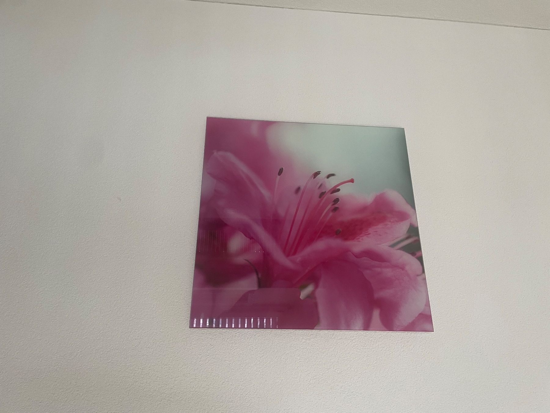 Poster & Bilder: 2er Set: Romantische Glasbilder mit Blumendruck – Gebraucht aus Glattpark(Opfikon) von sim_cv9l 3