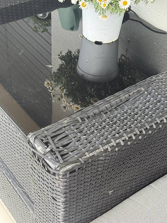 Divani: Gartenmöbel Sofa + Sitz + Tisch mit Polster - gratis – Usato da Reinach AG venduto da N54 3