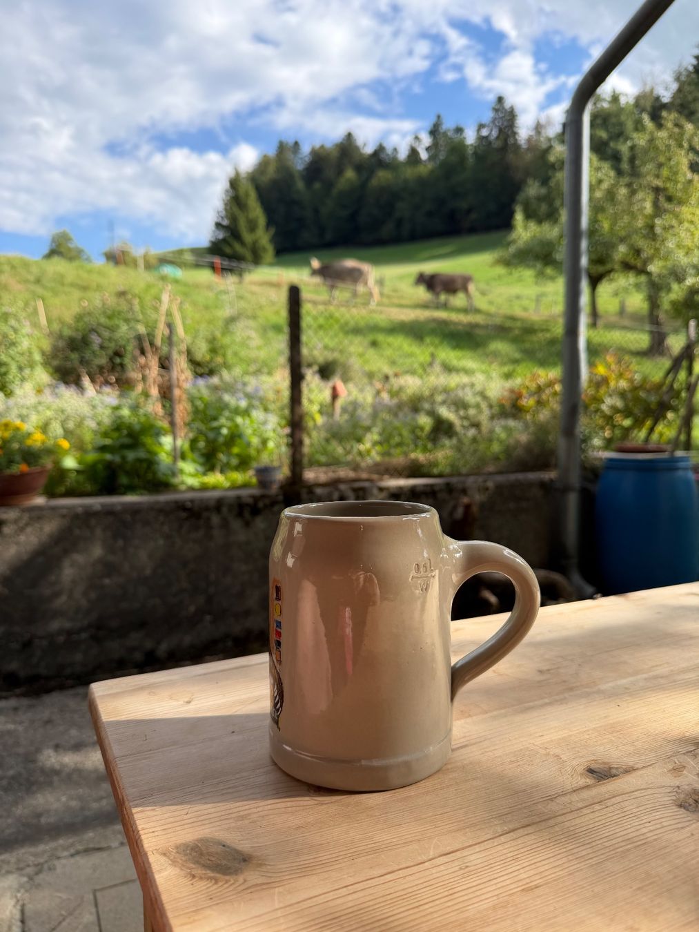 Hürlimann Bicchieri: Bierkrug Baumberger Hürlimann – Usato da Huttwil venduto da Burk3 2