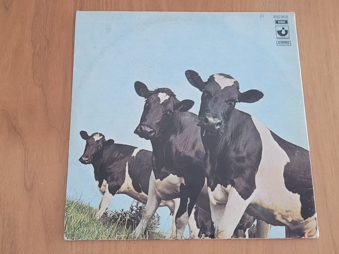 Schallplatten: LP  Pink Floyd – Gebraucht aus Martigny von MZ-67 2