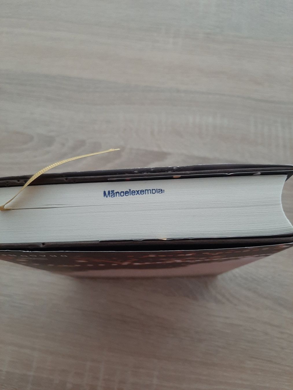 Libri: Laura Wood, Ein Himmel aus Gold – Usato da Menziken venduto da Rien1 2