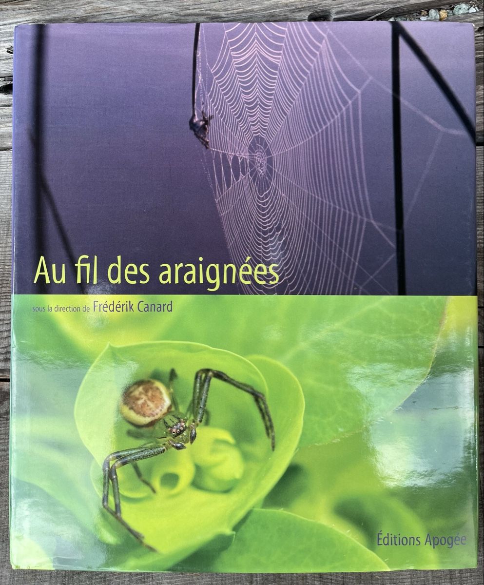 Libri: Au fil des araignées - Livre – Usato da Euseigne venduto da so.ART