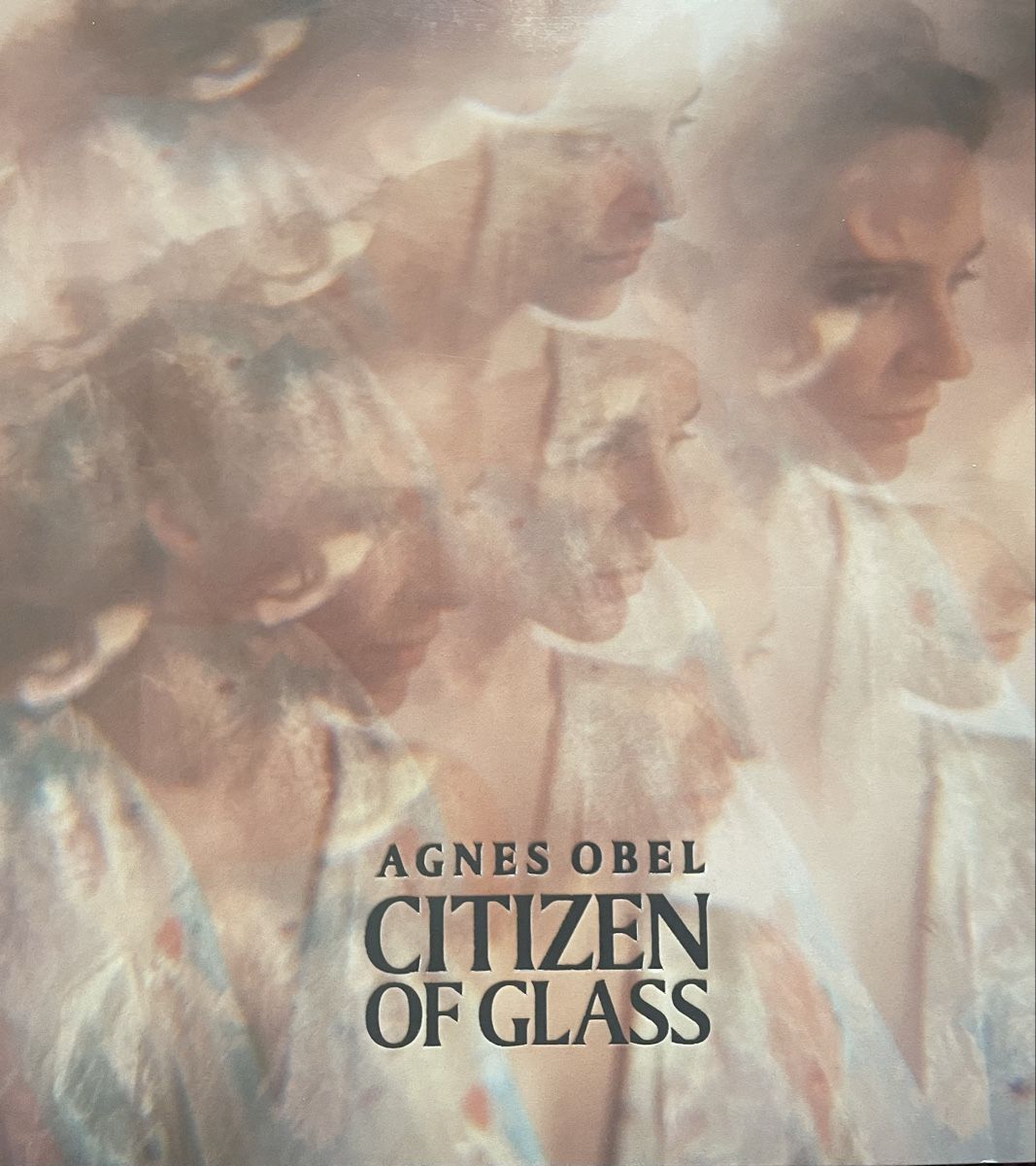 Vinyles: Agnes Obel, 4 Vinyl Alben – D'occasion à Chur par weda_01 2