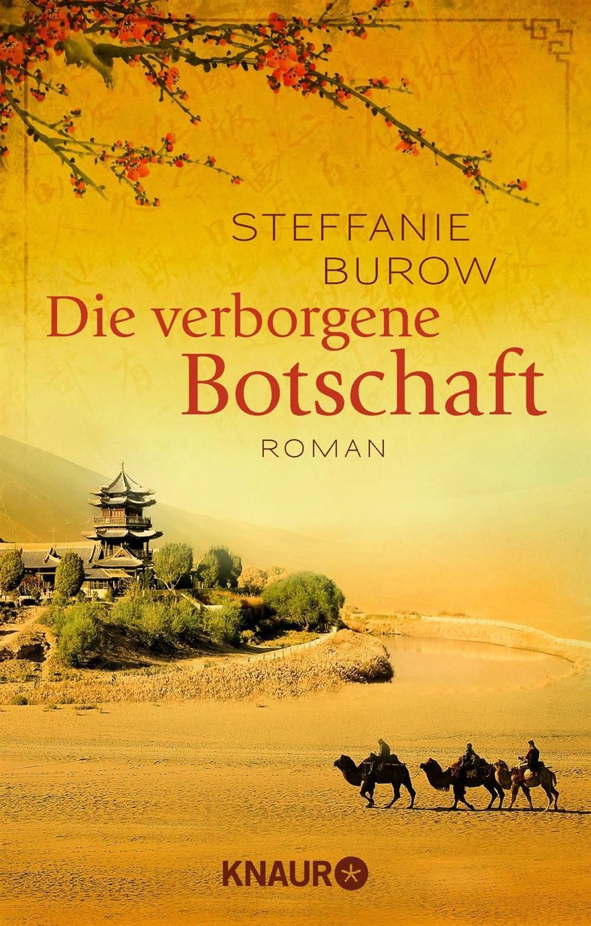 Libri: Burow Steffanie - Die verborgene Botschaft / Roman – Usato da Schaffhausen venduto da buecherlaus