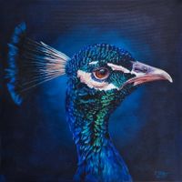 Gemälde Pfau 50x50cm Acryl auf Leinwand Unikat handgemalt