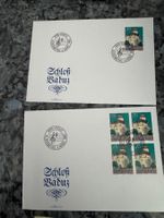 2 Ersttagsbriefe Fürstentum Liechtenstein (93)