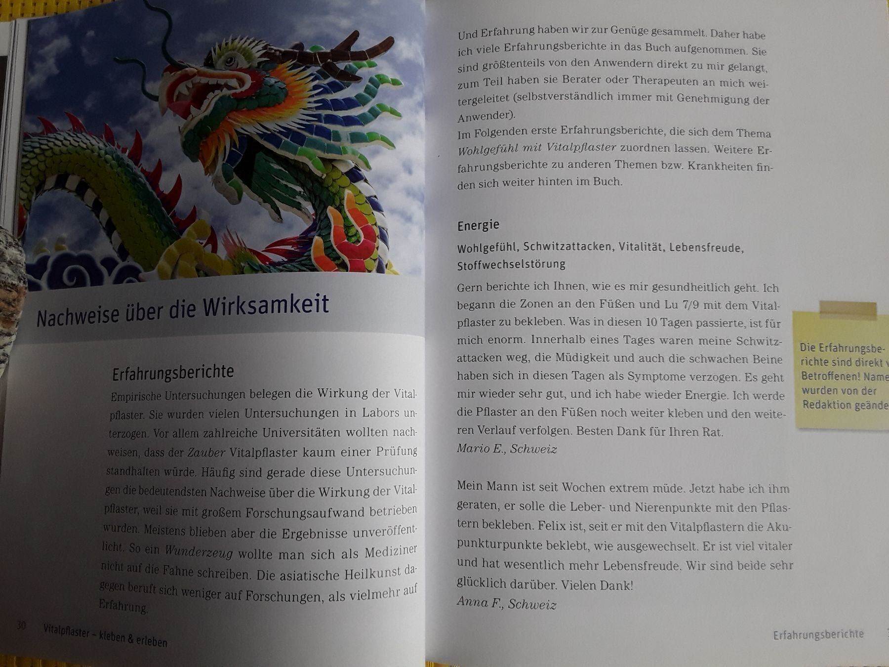 Libri: Das Vitalpflasterbuch – Nuovo e nell'imballaggio originale da Rebstein venduto da Buchsi03 5