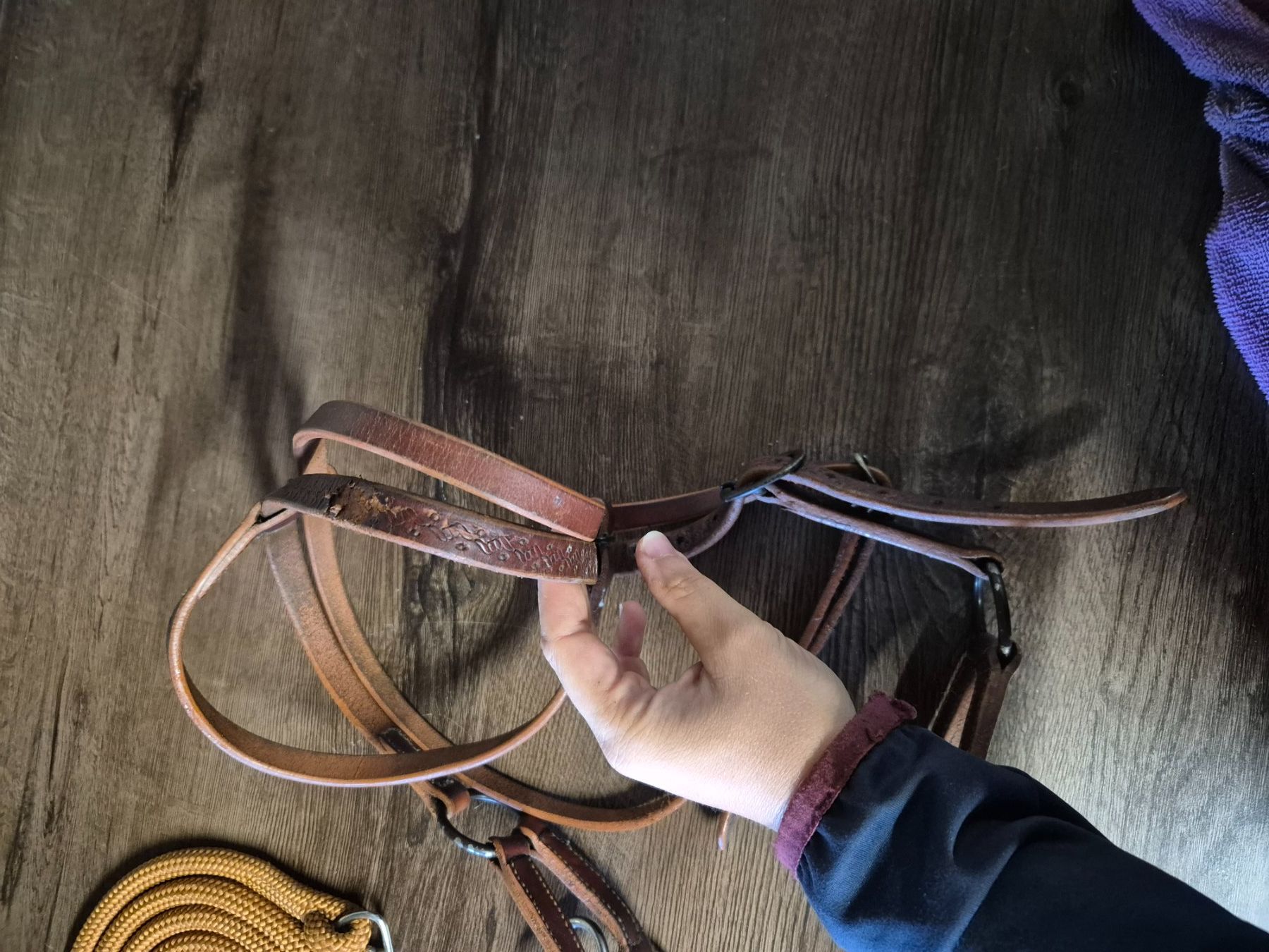 Brides, licols: Gebisslos Sidepull Zaumzeug Cob – D'occasion à Meggen par Orrinka20 4