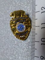 PIN PINS POLIZEI POLICE POLIZIA USA Sheriff Stern Abzeichen
