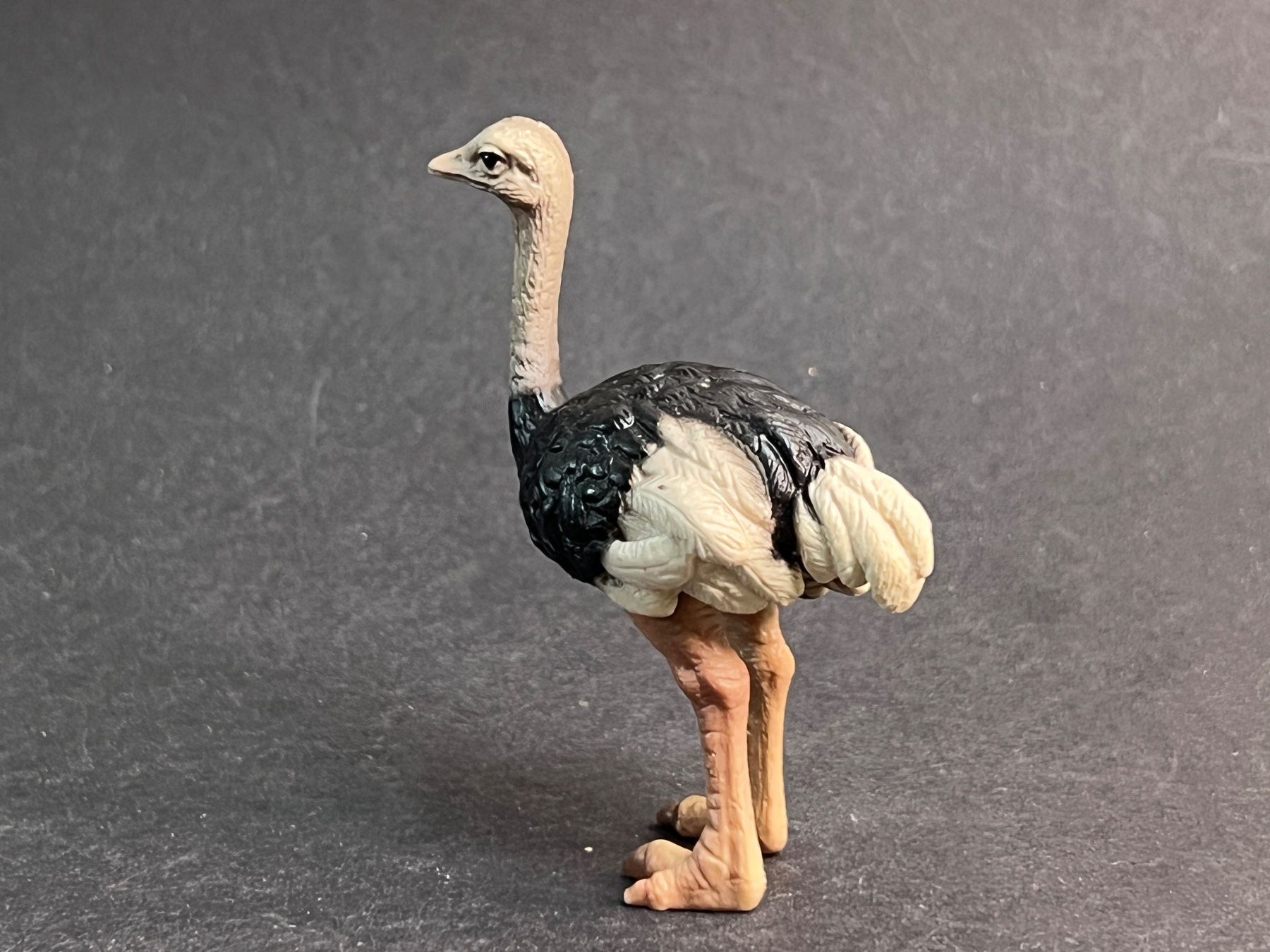 Schleich Figuren: Schleich Strauß und Straussenjunges Strauss – Gebraucht aus Ennetbaden von mapa05 6