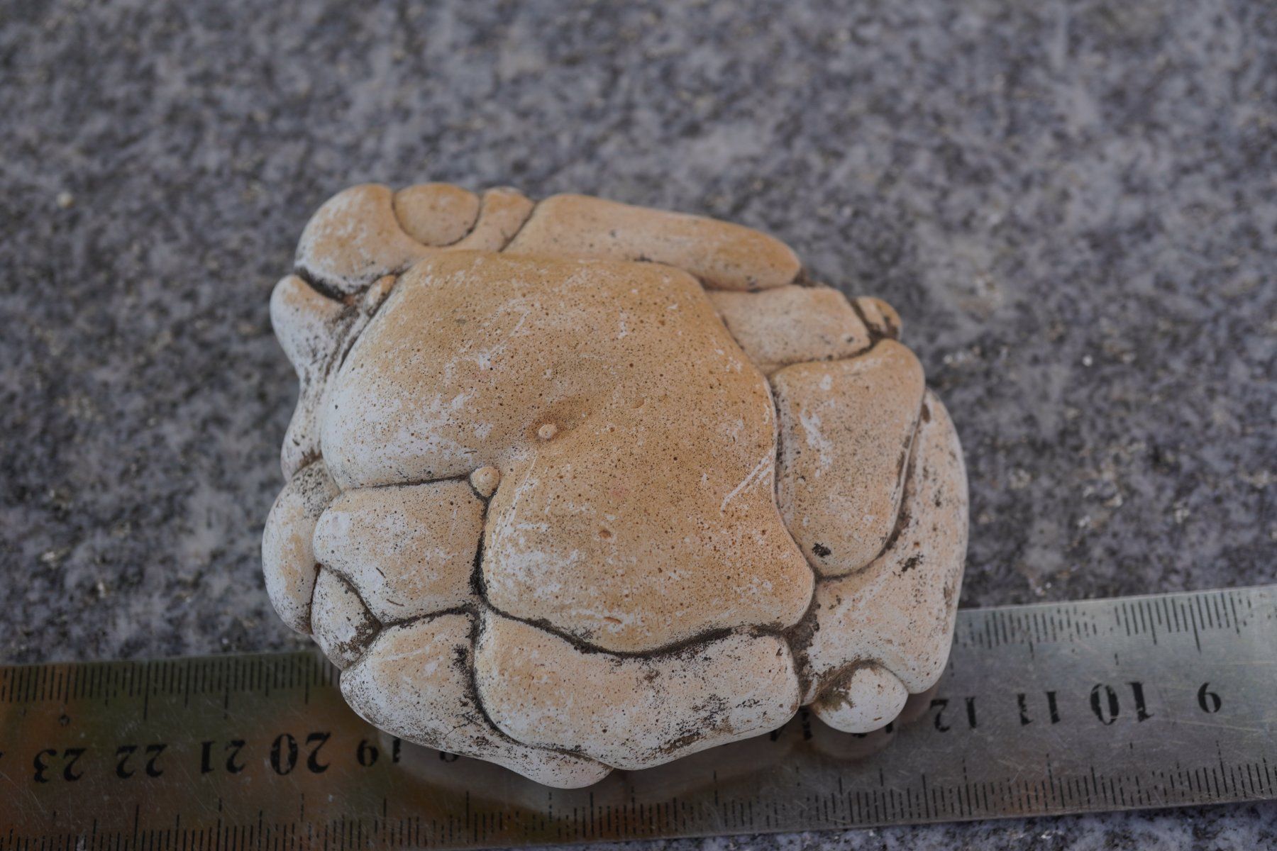 Minéraux & Lithothérapie: Feenstein XL    9cm      WOW    (1) – Neuf avec emballage d'origine à Eschenbach SG par topstone 2
