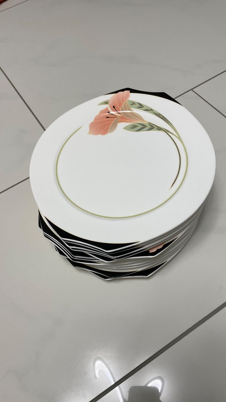 Villeroy & Boch Piatti: Villeroy & Boch Teller – Usato da hochdorf venduto da tariq1