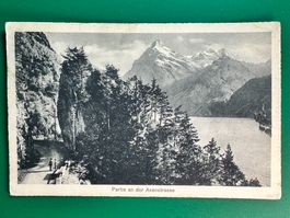 Partie an der Axenstrasse