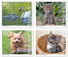 💥Briefmarken-Serie «Süsse Tiere» - postfrisch