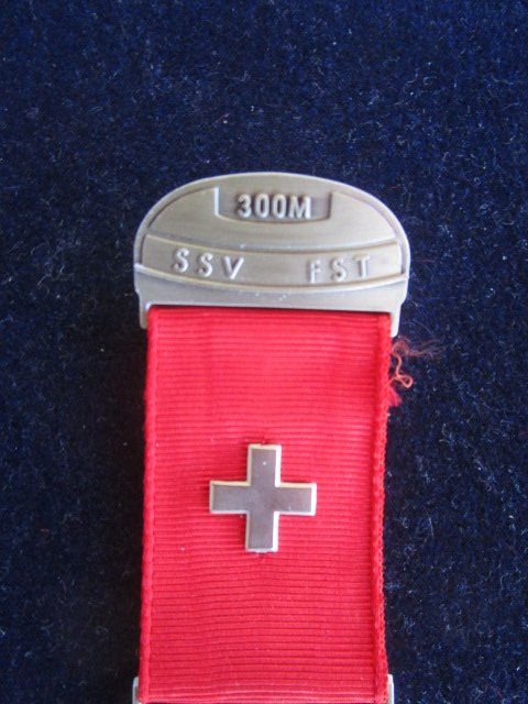 Medaglie: Eidgenössisches Feldschiessen 2016 - Banner  Bern – Usato da Luzern venduto da Horoskop1 2