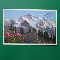 F43 Maximumkarte, K-Stempel WENGEN