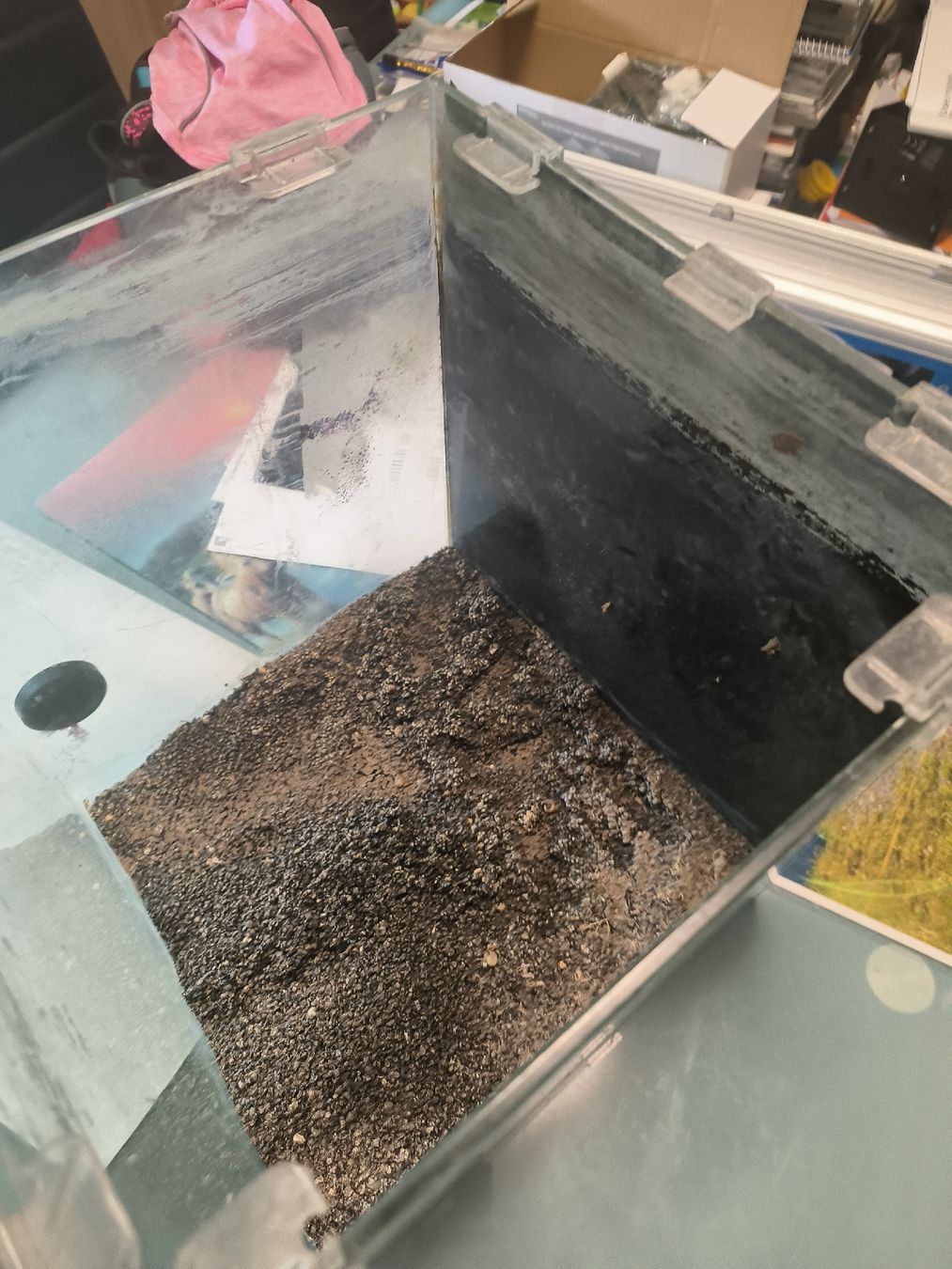 Aquarium: Aquarium Nano Cube – D'occasion à Muttenz par christophkopp 2