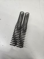 Sachs Rixe Hercules Gabel Federn