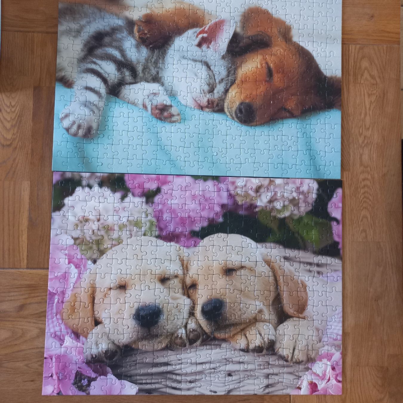 Ravensburger Puzzle: Puzzle Ravensburger 2× 300 pièces  – Nuovo (secondo la descrizione) da Dompierre FR venduto da fat_xth5 1