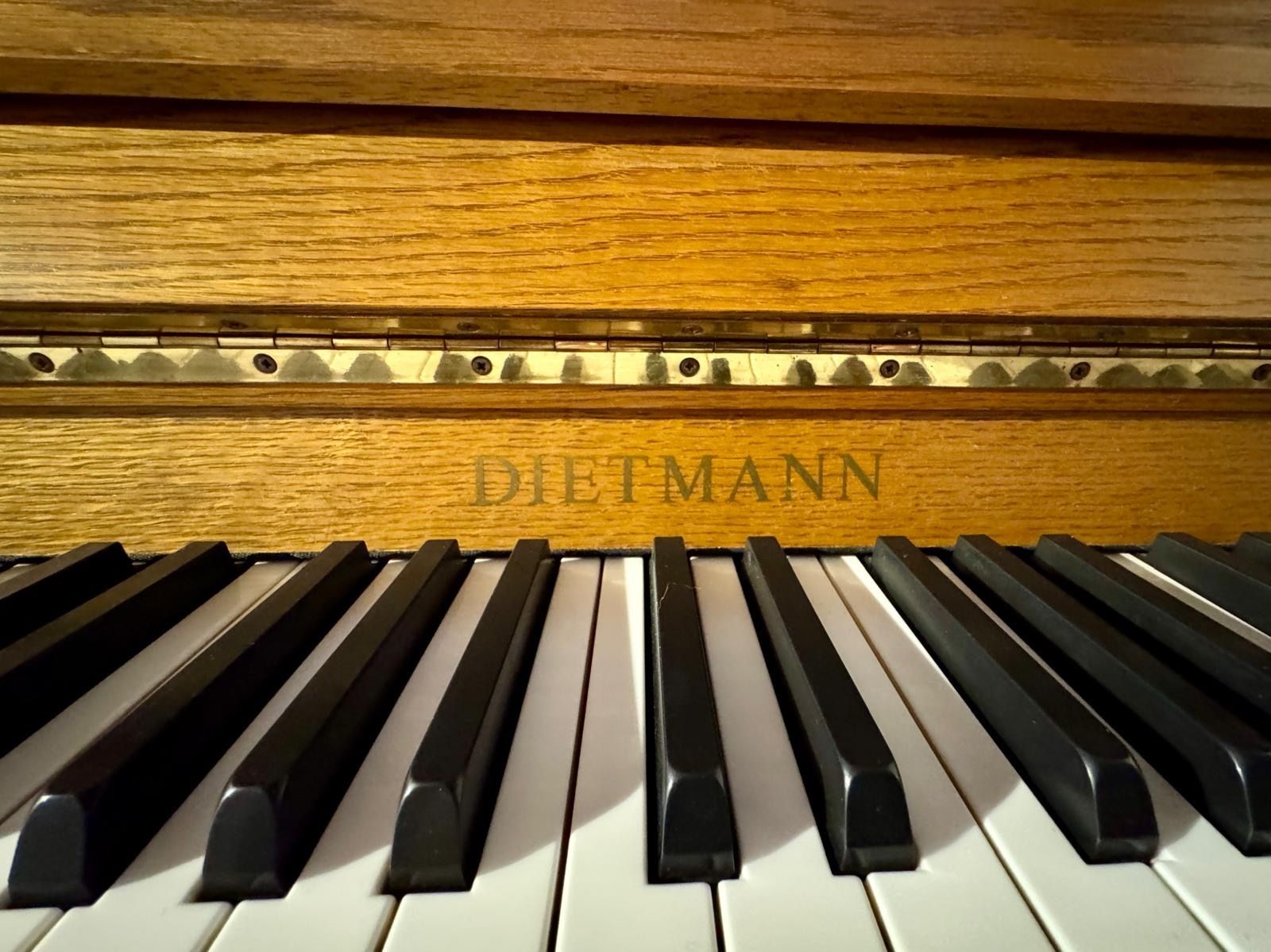 Strumenti musicali: Klavier von Dietmann – Usato da Beringen venduto da leo_yv2s 2
