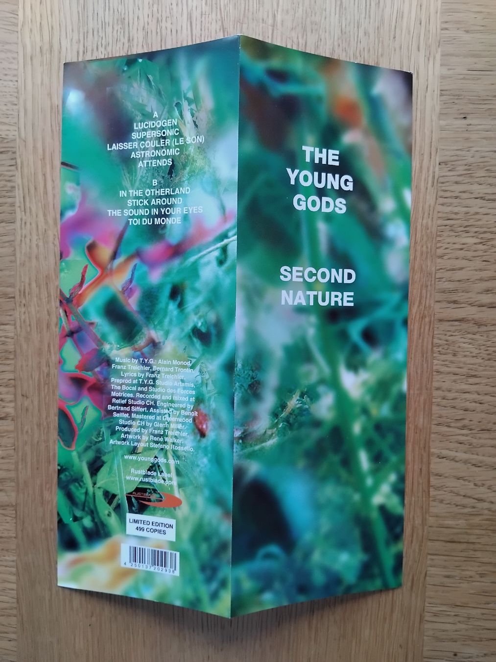 Dischi in vinile: THE YOUNG GODS - second nature - lim. Vinyl LP – Nuovo (secondo la descrizione) da Teufen ZH venduto da mileg_77 4