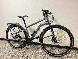 Fahrrad Cannondale Contro grau mit Shimano Alfine Nabenschal
