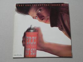 LP CH Terry and the hot Sox 1983 Rock