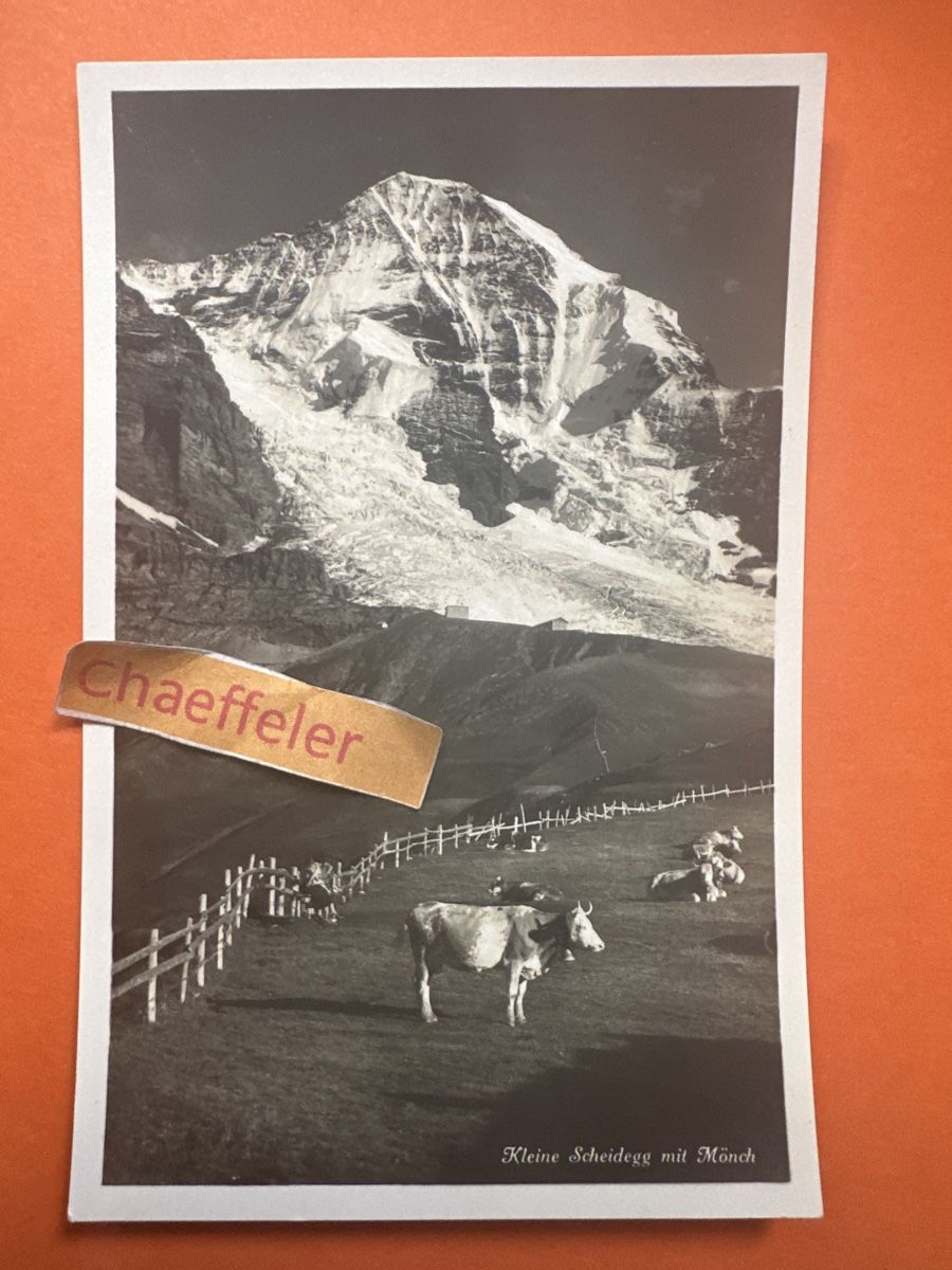 Cartes postales: Kleine Scheidegg mit Mönch. – D'occasion à Zürich par Chaeffeler