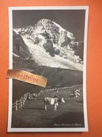 Kleine Scheidegg mit Mönch.