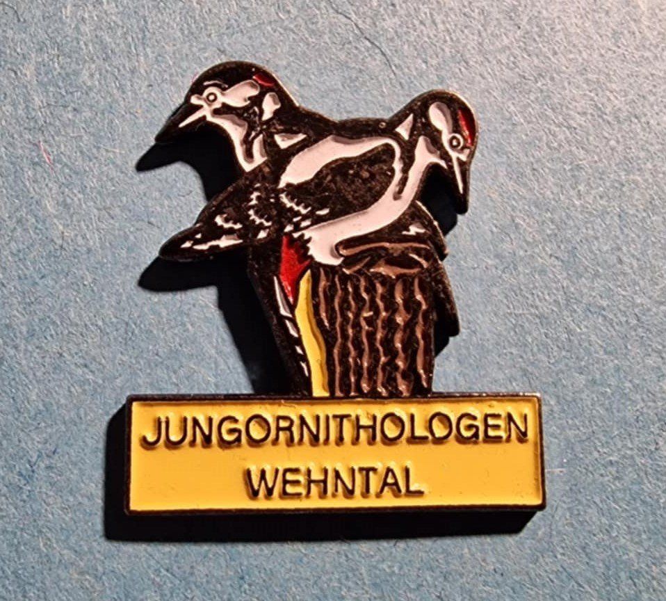 Placchette & Badge: Pin Jungornithologen Wehntal – Usato da Härkingen venduto da specialshapes