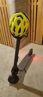 Trotinette electrique Segway 