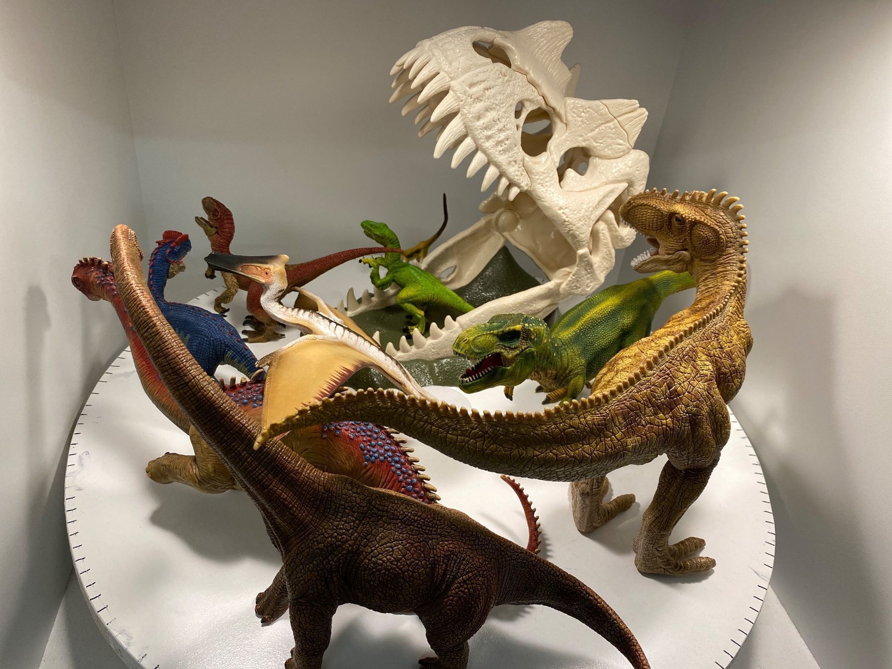 Schleich Statuette: Schleich Dinos Set mit Schädelfalle – Usato da Ossingen venduto da figurina 4
