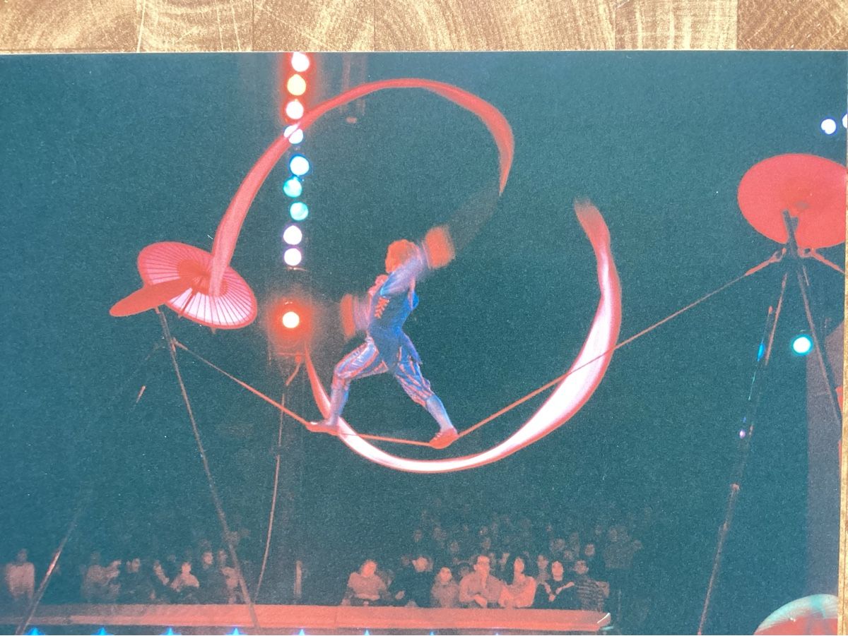 Foto & Immagini: Circus Knie Foto 1992 – Usato da Reichenbach i. K. venduto da astra2010