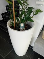  Übertopf 80 cm hoch, weiss