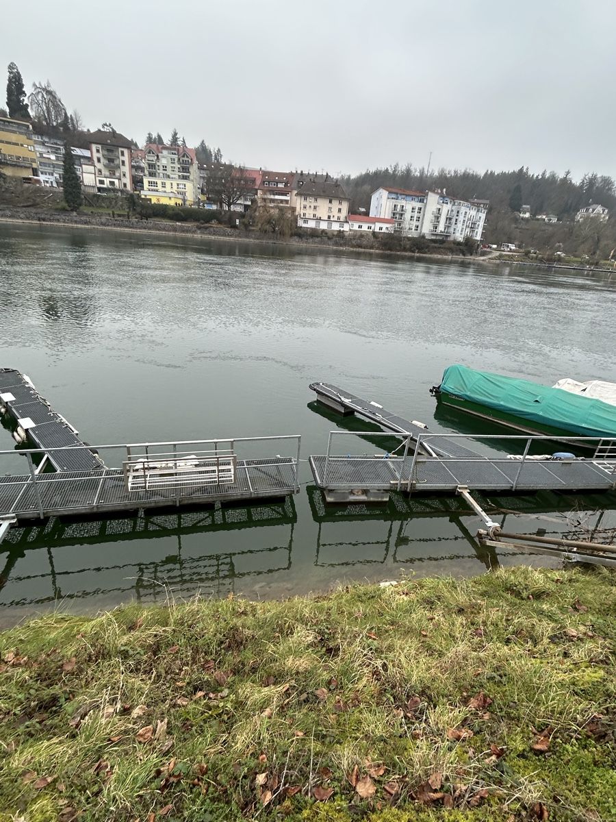 Draco Barche: Motoroboot Draco 2000 Daycab – Difettoso da Schöftland venduto da bos_npm2 4
