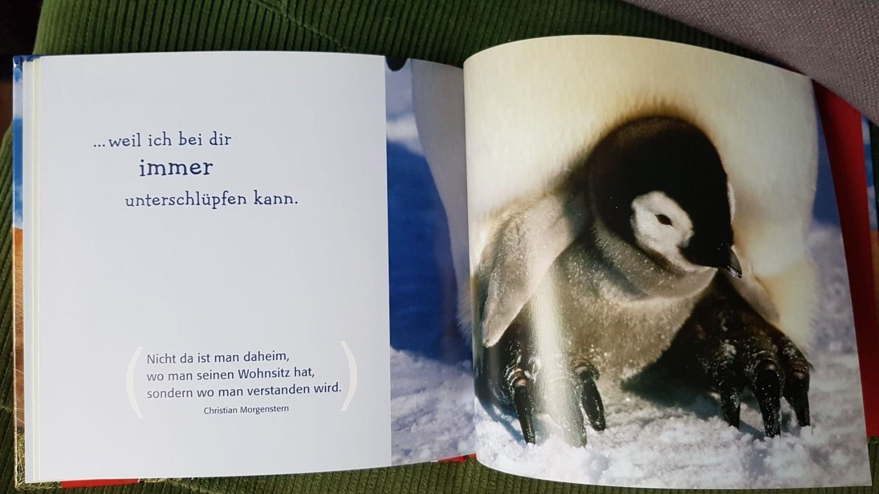 Libri: Oma - Du bist Klasse NEU – Nuovo (secondo la descrizione) da Spiegel b. Bern venduto da sus_xj97 1